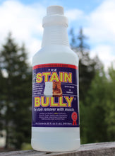 Load image into Gallery viewer, Stain Bully 32 fl oz plastic bottle
