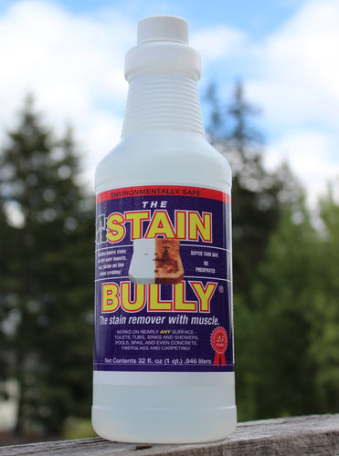 Stain Bully 32 fl oz plastic bottle